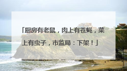厨房有老鼠，肉上有苍蝇，菜上有虫子，市监局：下架！