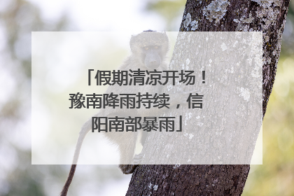 假期清凉开场！豫南降雨持续，信阳南部暴雨