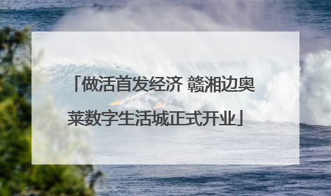 做活首发经济 赣湘边奥莱数字生活城正式开业