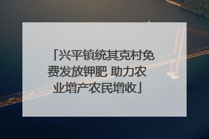 兴平镇统其克村免费发放钾肥 助力农业增产农民增收