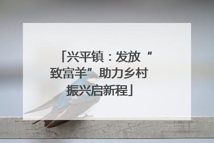 兴平镇：发放“致富羊”助力乡村振兴启新程