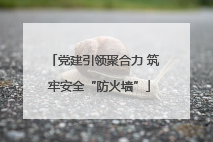 党建引领聚合力 筑牢安全“防火墙”