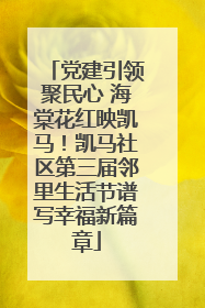 党建引领聚民心 海棠花红映凯马！凯马社区第三届邻里生活节谱写幸福新篇章