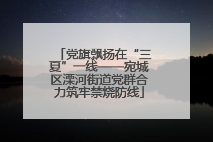 党旗飘扬在“三夏”一线——宛城区溧河街道党群合力筑牢禁烧防线