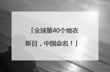 全球第40个地衣新目，中国命名！