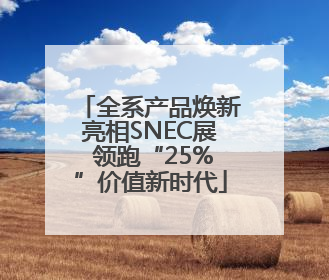 全系产品焕新亮相SNEC展 领跑“25%”价值新时代
