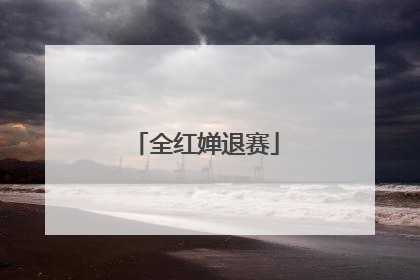 全红婵退赛