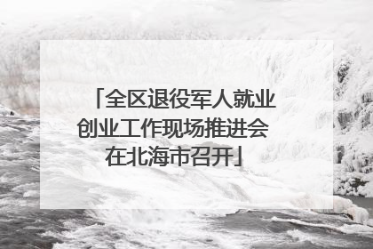 全区退役军人就业创业工作现场推进会在北海市召开