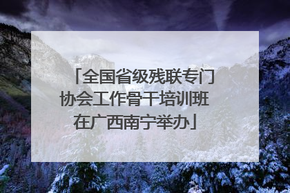 全国省级残联专门协会工作骨干培训班在广西南宁举办