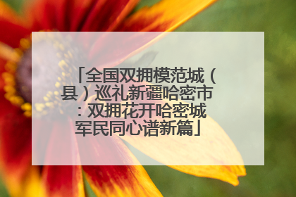 全国双拥模范城（县）巡礼新疆哈密市：双拥花开哈密城 军民同心谱新篇