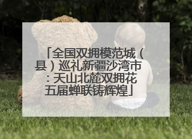 全国双拥模范城（县）巡礼新疆沙湾市：天山北麓双拥花 五届蝉联铸辉煌