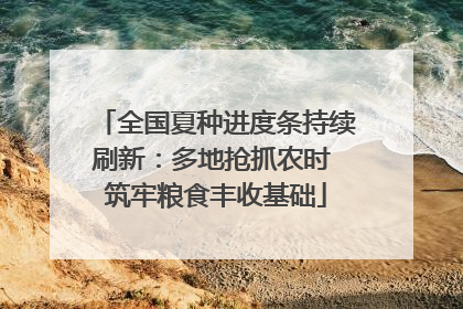 全国夏种进度条持续刷新：多地抢抓农时 筑牢粮食丰收基础