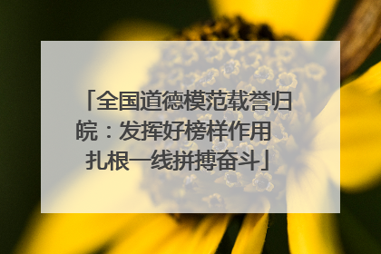 全国道德模范载誉归皖：发挥好榜样作用 扎根一线拼搏奋斗