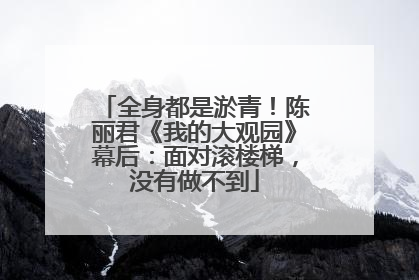 全身都是淤青！陈丽君《我的大观园》幕后：面对滚楼梯，没有做不到