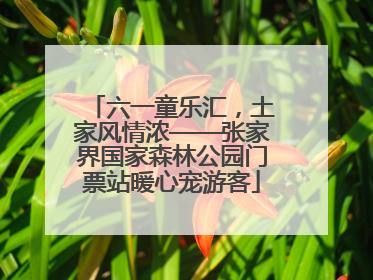 六一童乐汇，土家风情浓——张家界国家森林公园门票站暖心宠游客