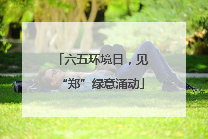 六五环境日，见“郑”绿意涌动