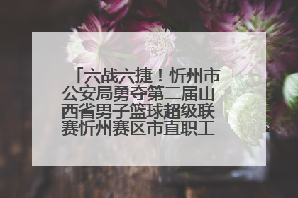 六战六捷！忻州市公安局勇夺第二届山西省男子篮球超级联赛忻州赛区市直职工组比赛冠军