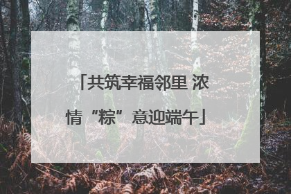 共筑幸福邻里 浓情“粽”意迎端午
