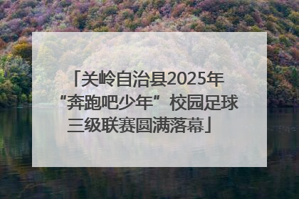 关岭自治县2025年“奔跑吧少年”校园足球三级联赛圆满落幕