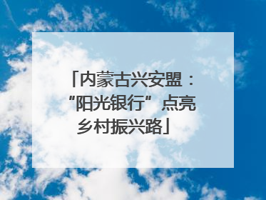 内蒙古兴安盟：“阳光银行”点亮乡村振兴路