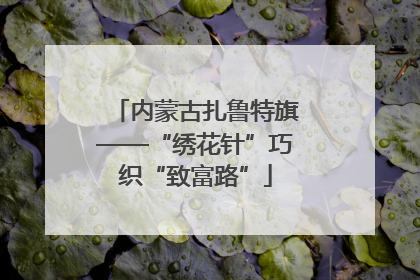 内蒙古扎鲁特旗——“绣花针”巧织“致富路”