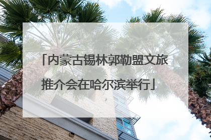 内蒙古锡林郭勒盟文旅推介会在哈尔滨举行