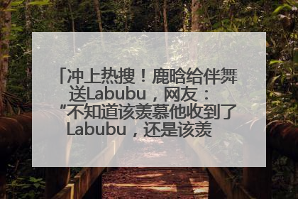 冲上热搜！鹿晗给伴舞送Labubu，网友：“不知道该羡慕他收到了Labubu，还是该羡慕鹿晗送他礼物”