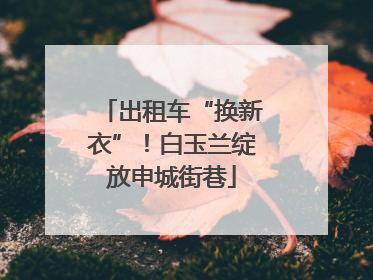 出租车“换新衣”！白玉兰绽放申城街巷