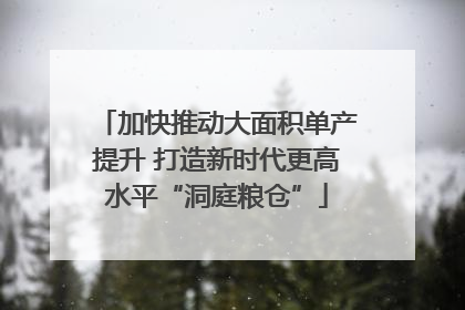 加快推动大面积单产提升 打造新时代更高水平“洞庭粮仓”