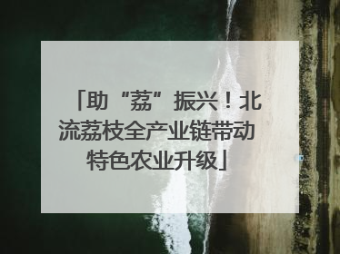助“荔”振兴！北流荔枝全产业链带动特色农业升级