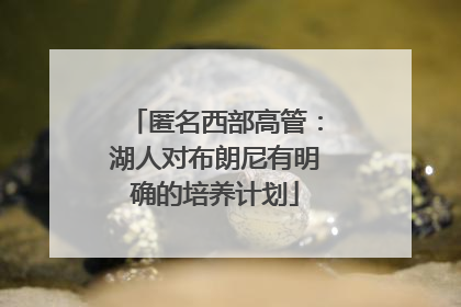 匿名西部高管：湖人对布朗尼有明确的培养计划