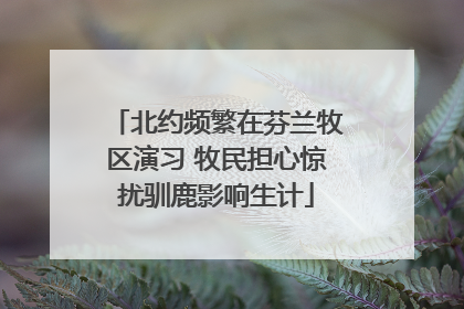 北约频繁在芬兰牧区演习 牧民担心惊扰驯鹿影响生计