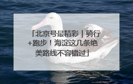 北京号最精彩｜骑行+跑步！海淀这几条绝美路线不容错过