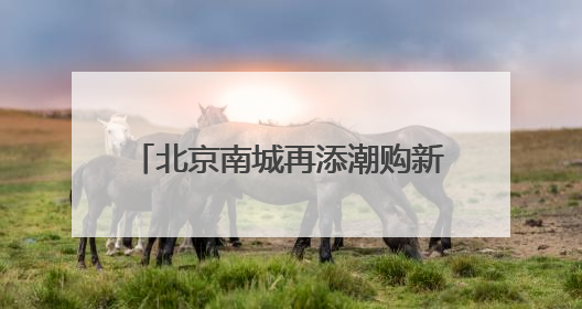 北京南城再添潮购新地标，全国最大京东MALL端午开业