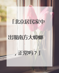 北京居民家中出现南方大蟑螂，正常吗？