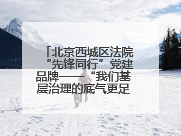 北京西城区法院“先锋同行”党建品牌——“我们基层治理的底气更足了！”