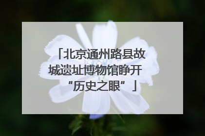 北京通州路县故城遗址博物馆睁开“历史之眼”