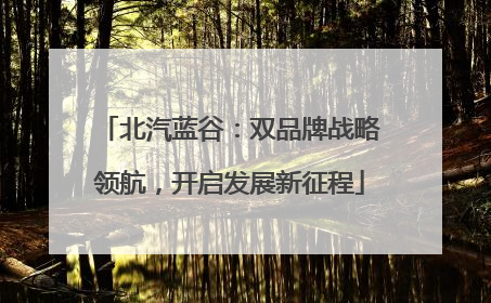 北汽蓝谷：双品牌战略领航，开启发展新征程
