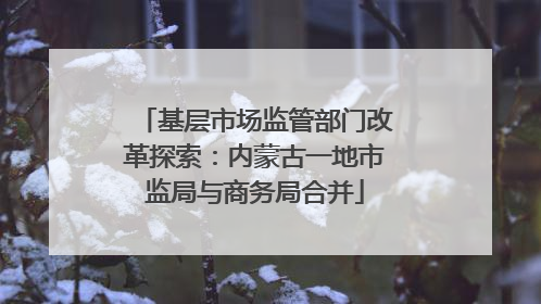 基层市场监管部门改革探索：内蒙古一地市监局与商务局合并