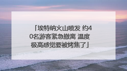埃特纳火山喷发 约40名游客紧急撤离 温度极高感觉要被烤焦了