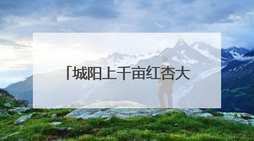 城阳上千亩红杏大丰收 预计下周各品种大面积成熟