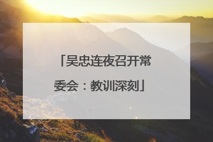 吴忠连夜召开常委会：教训深刻