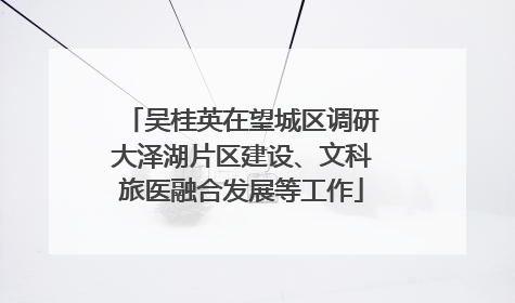 吴桂英在望城区调研大泽湖片区建设、文科旅医融合发展等工作