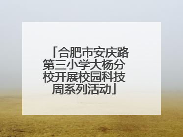 合肥市安庆路第三小学大杨分校开展校园科技周系列活动