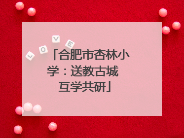 合肥市杏林小学：送教古城 互学共研
