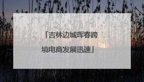 吉林边城珲春跨境电商发展迅速