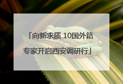 向新求质 10国外籍专家开启西安调研行
