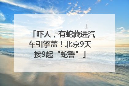 吓人，有蛇藏进汽车引擎盖！北京9天接9起“蛇警”