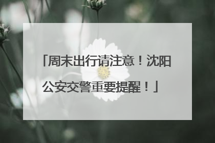 周末出行请注意！沈阳公安交警重要提醒！
