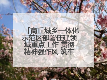 商丘城乡一体化示范区部署住建领域重点工作 贯彻精神强作风 筑牢民生底线促发展